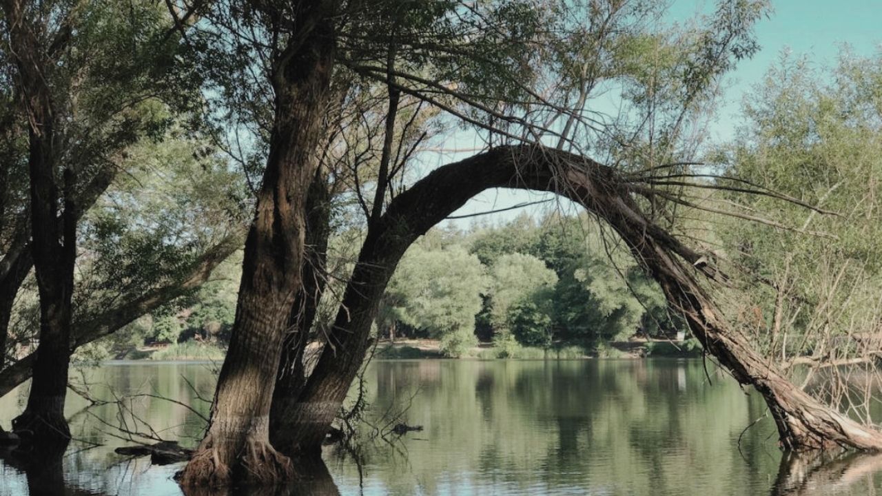 Karagöl Tabiat Parkı