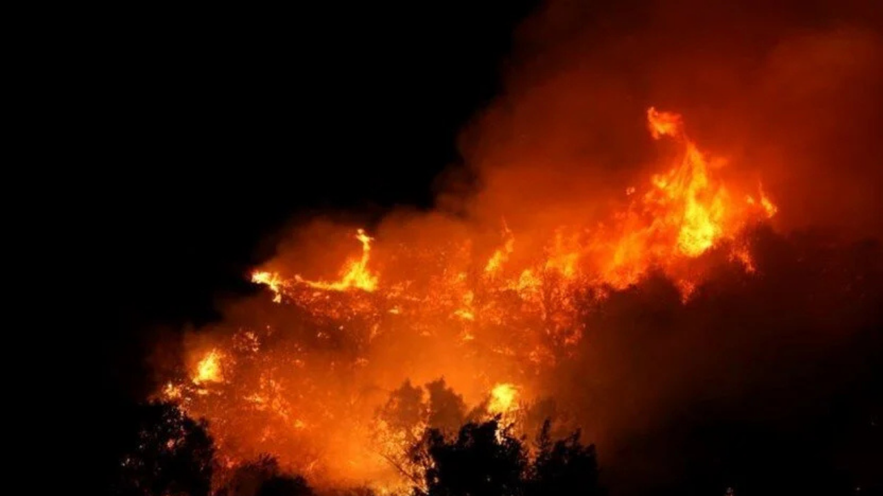 La Yangın Neden Çıktı (1)