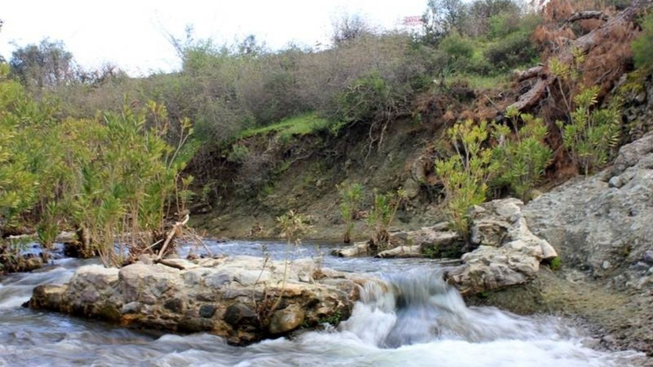 Mahmudiye Ilıcası 1
