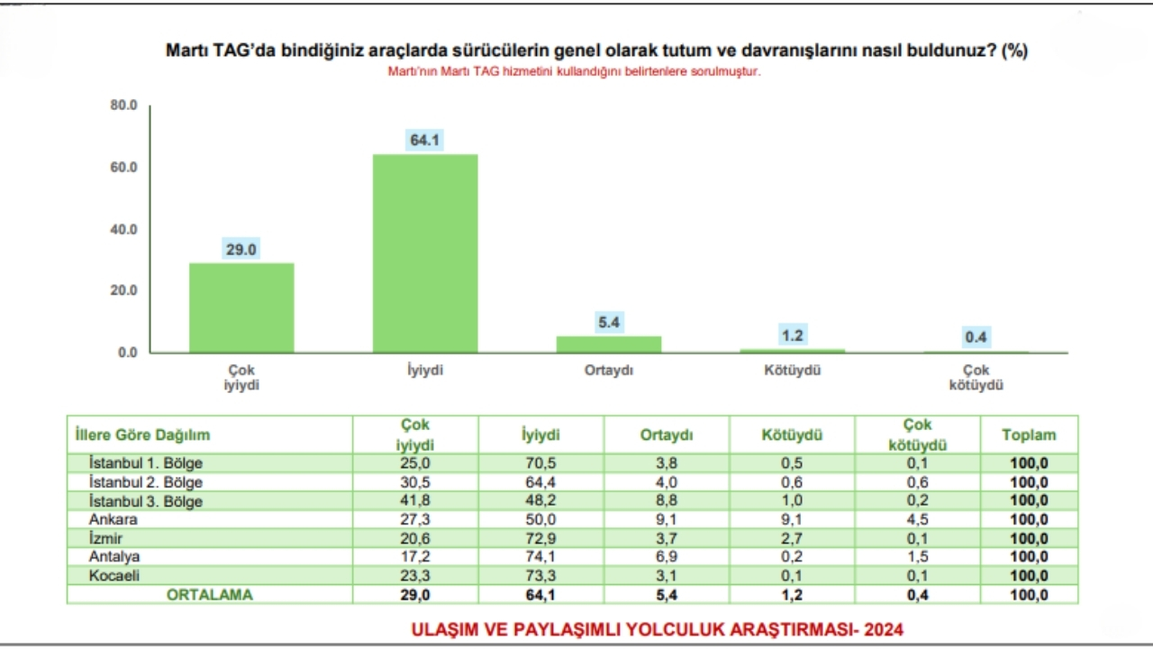 Martı Tag (3)