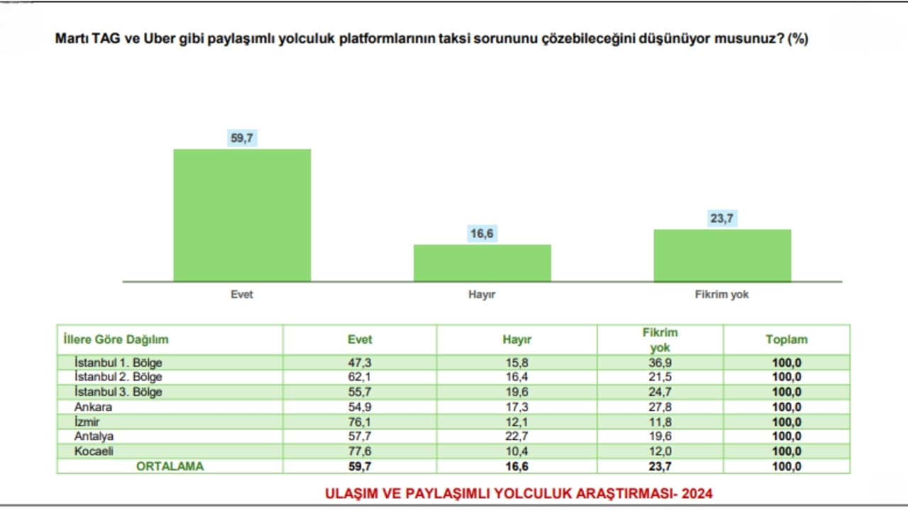 Martı Tag (4)