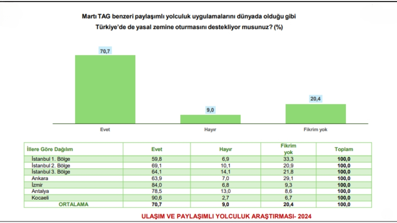 Martı Tag (5)