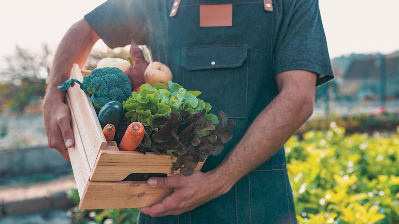 Seferihisar’da Organik Tarım Ve Agro Turizm