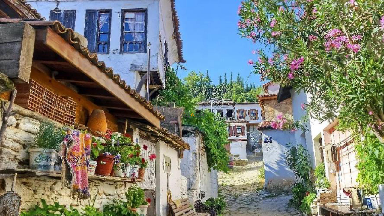 Şirince (3)