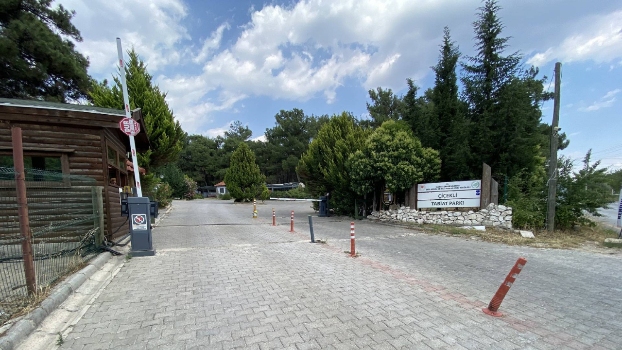 Çiçekli Tabiat