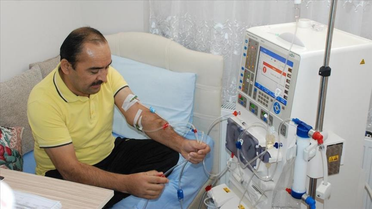 Elektrik Faturası