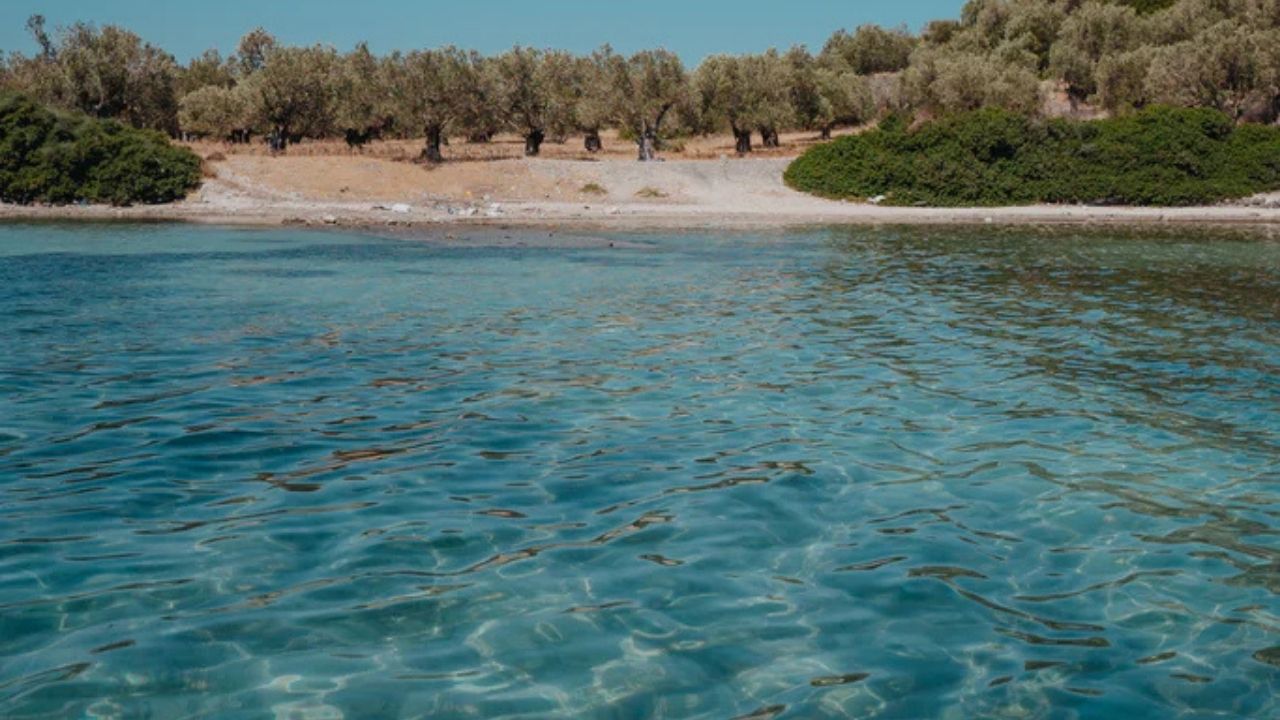 Garip Adası-3