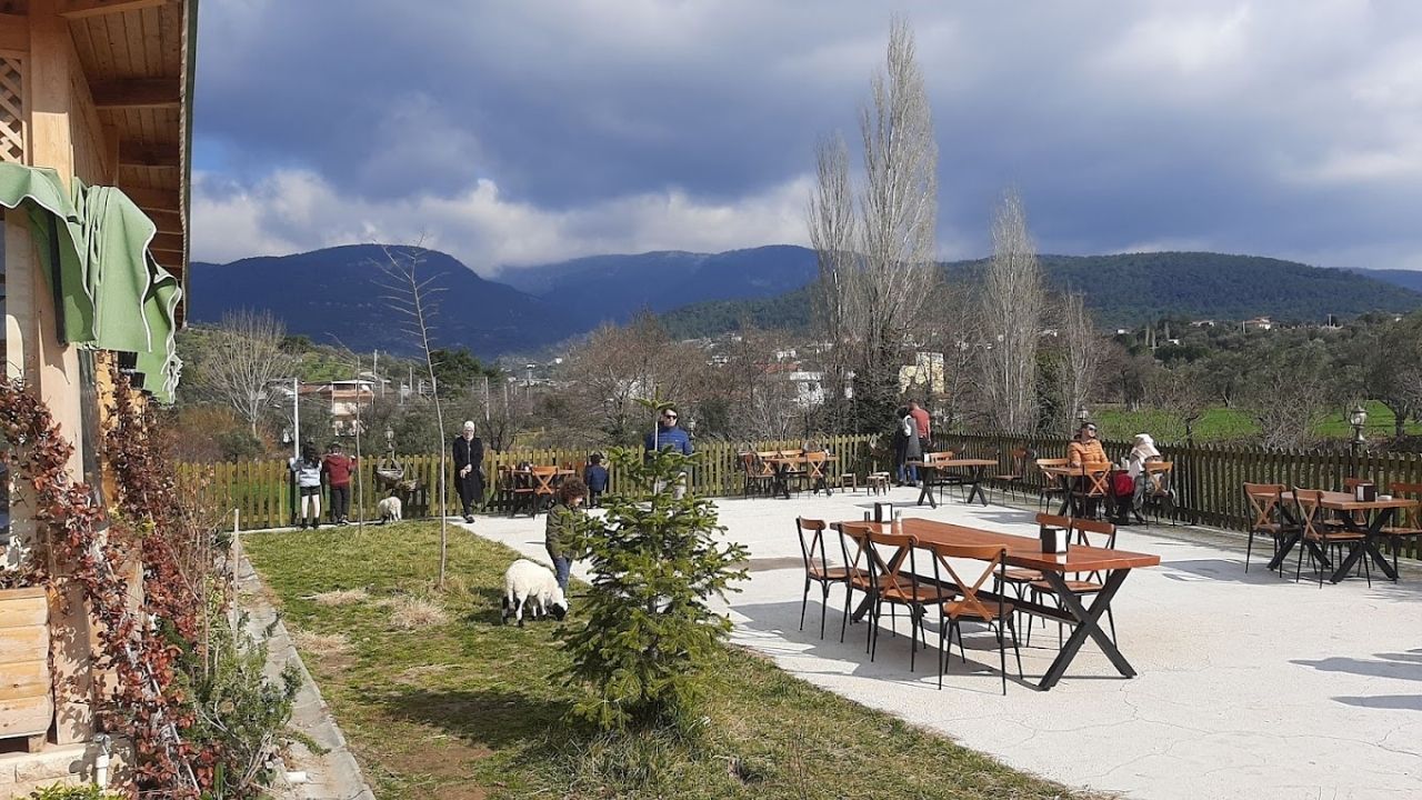 Hanbağı