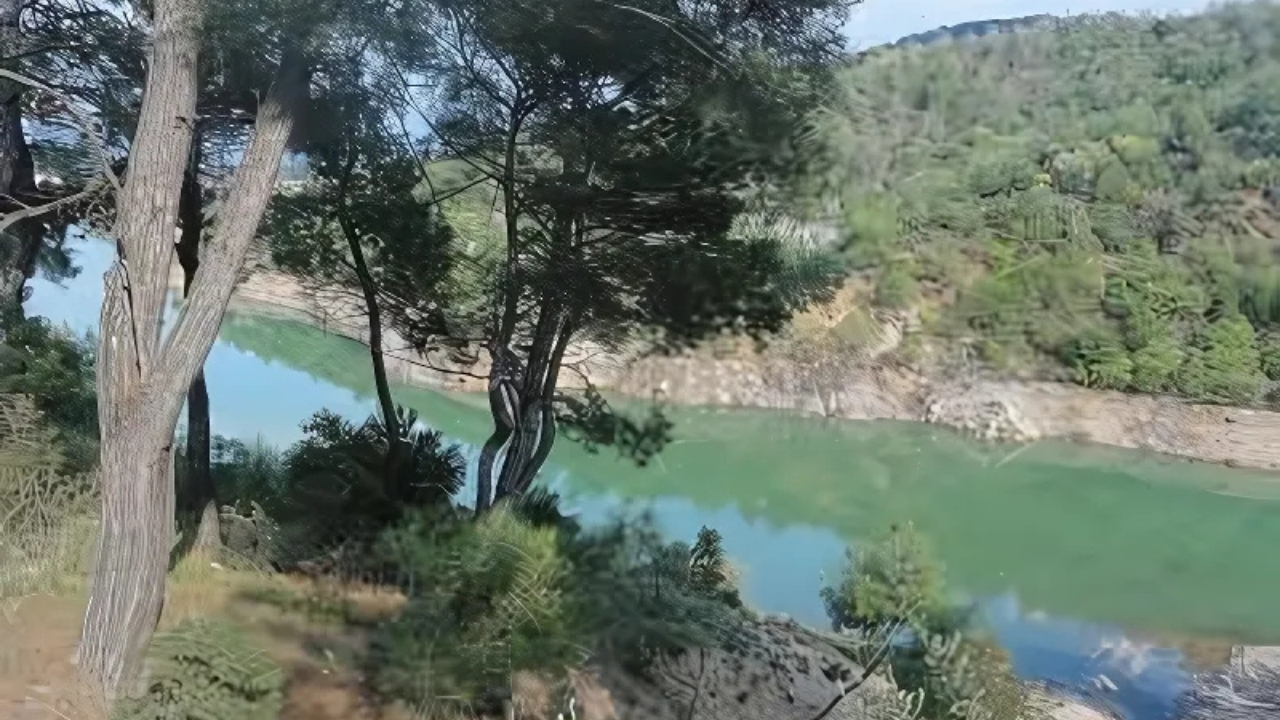 yemyeşil torbalı