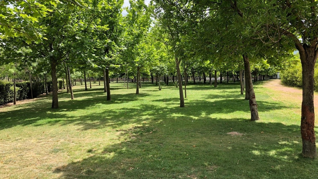 Inciraltı 2-1