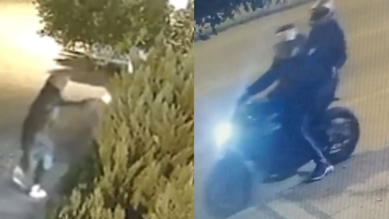 Kaplanlar Çetesi