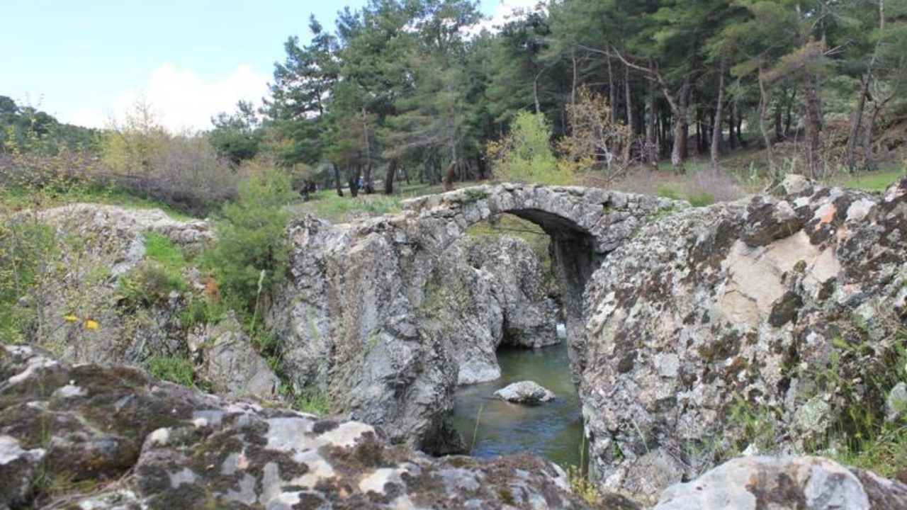 Mahmudiye