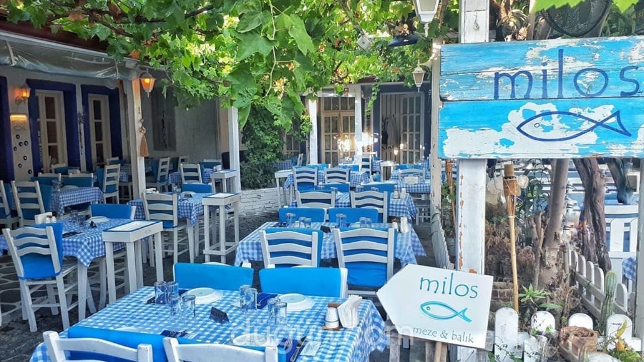 Milos Balık-1
