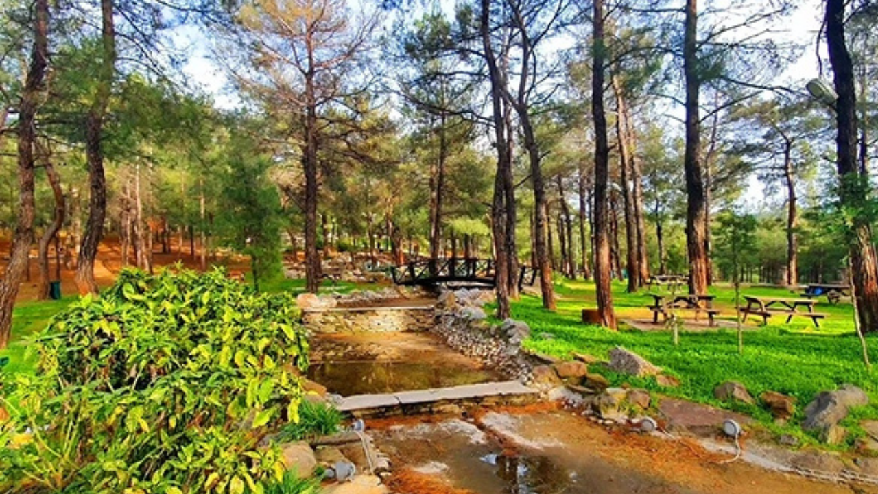 Sarnıç-1
