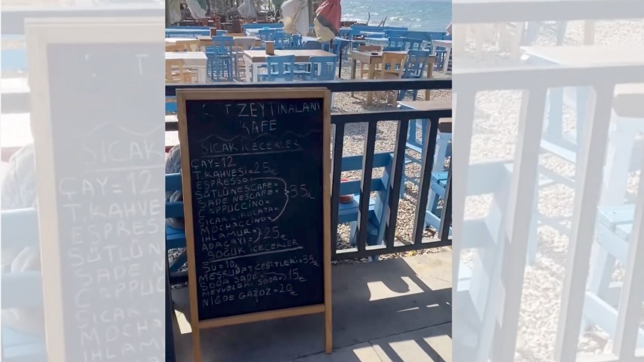 Zeytin Alanı