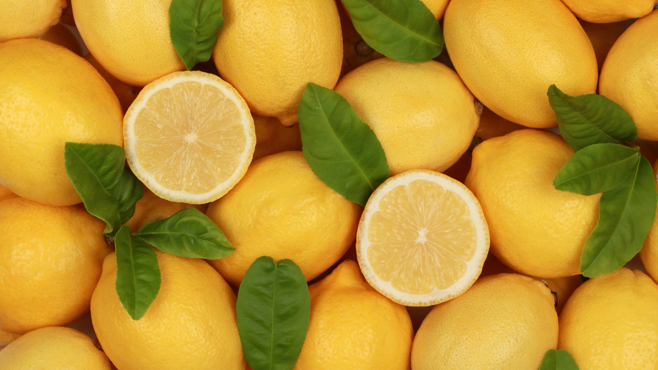 Limon-4