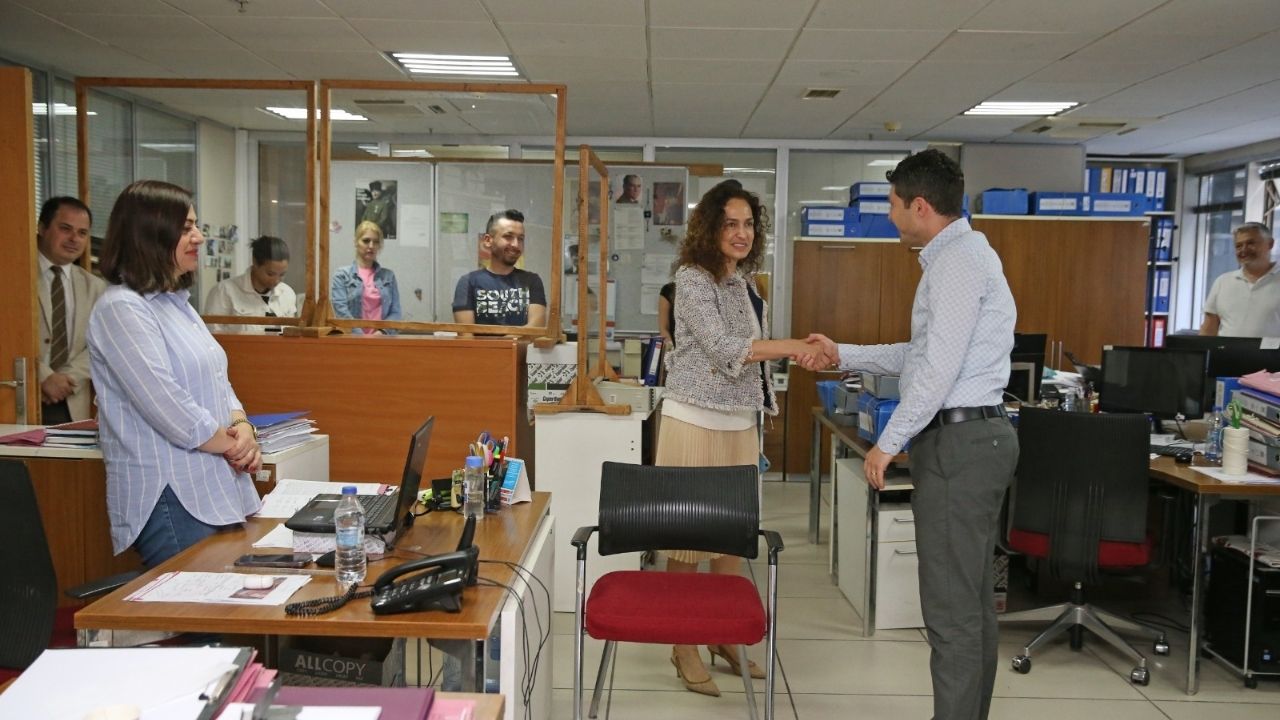 Sokak Hayvanlari