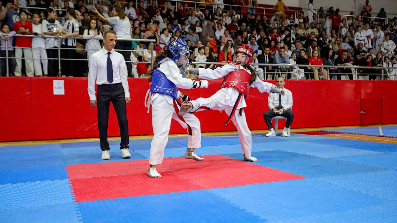 Bayraklı Sanat Spor Ve Çocuk (1)