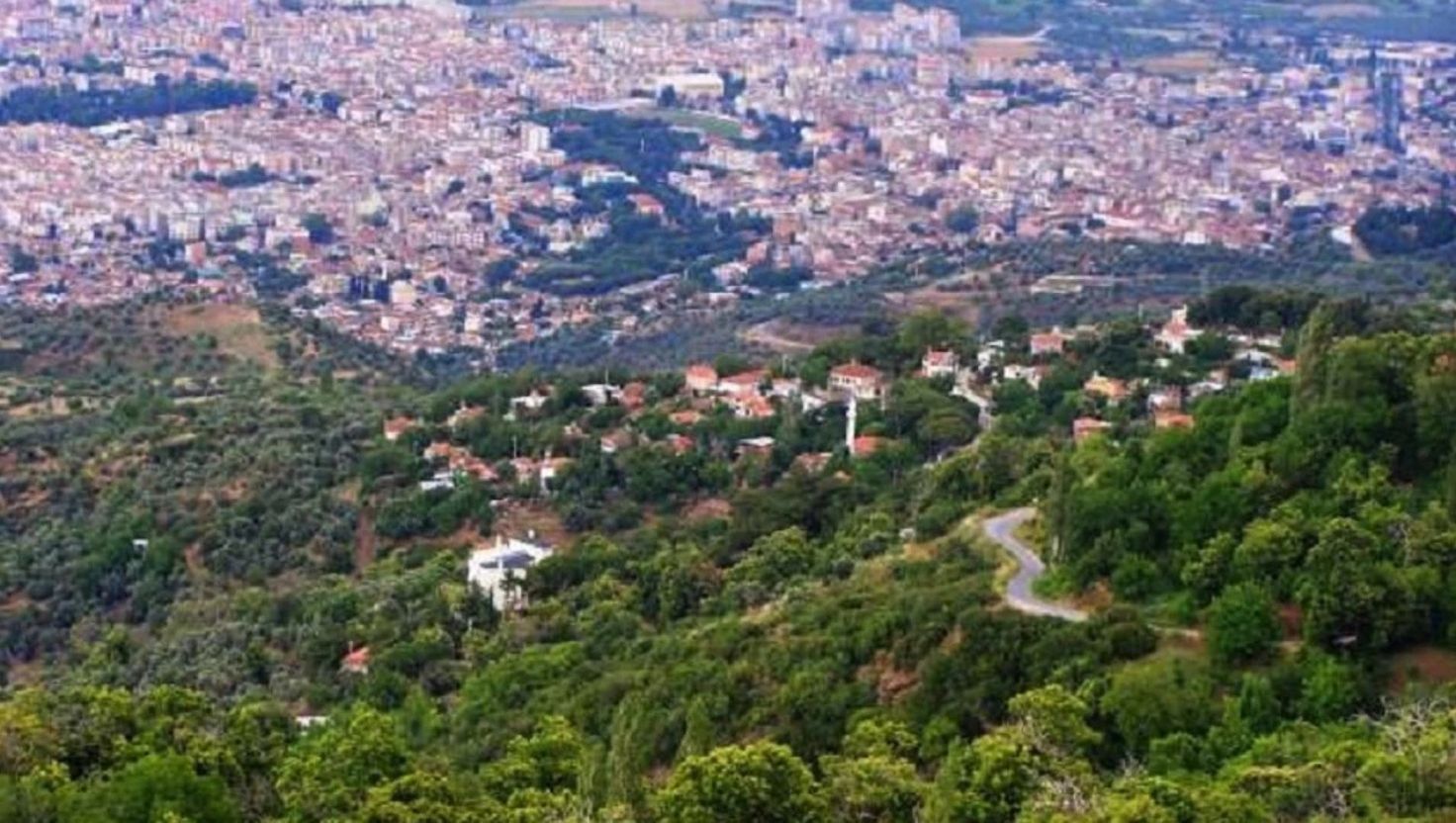 Bir Başlıkekleyin (87)