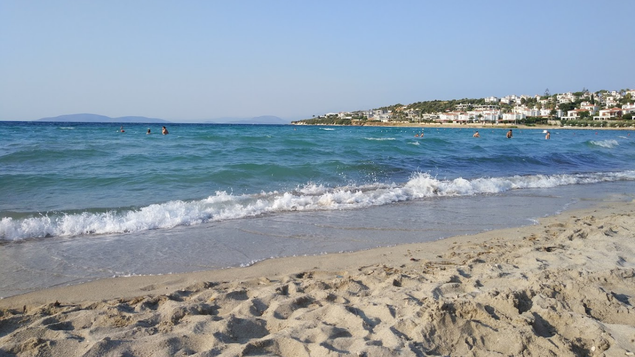 Boyalıkk