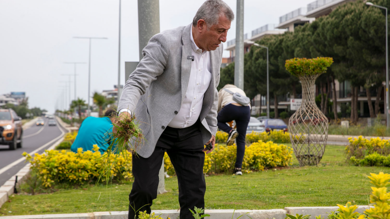 Güzelbahçe Imece (2)