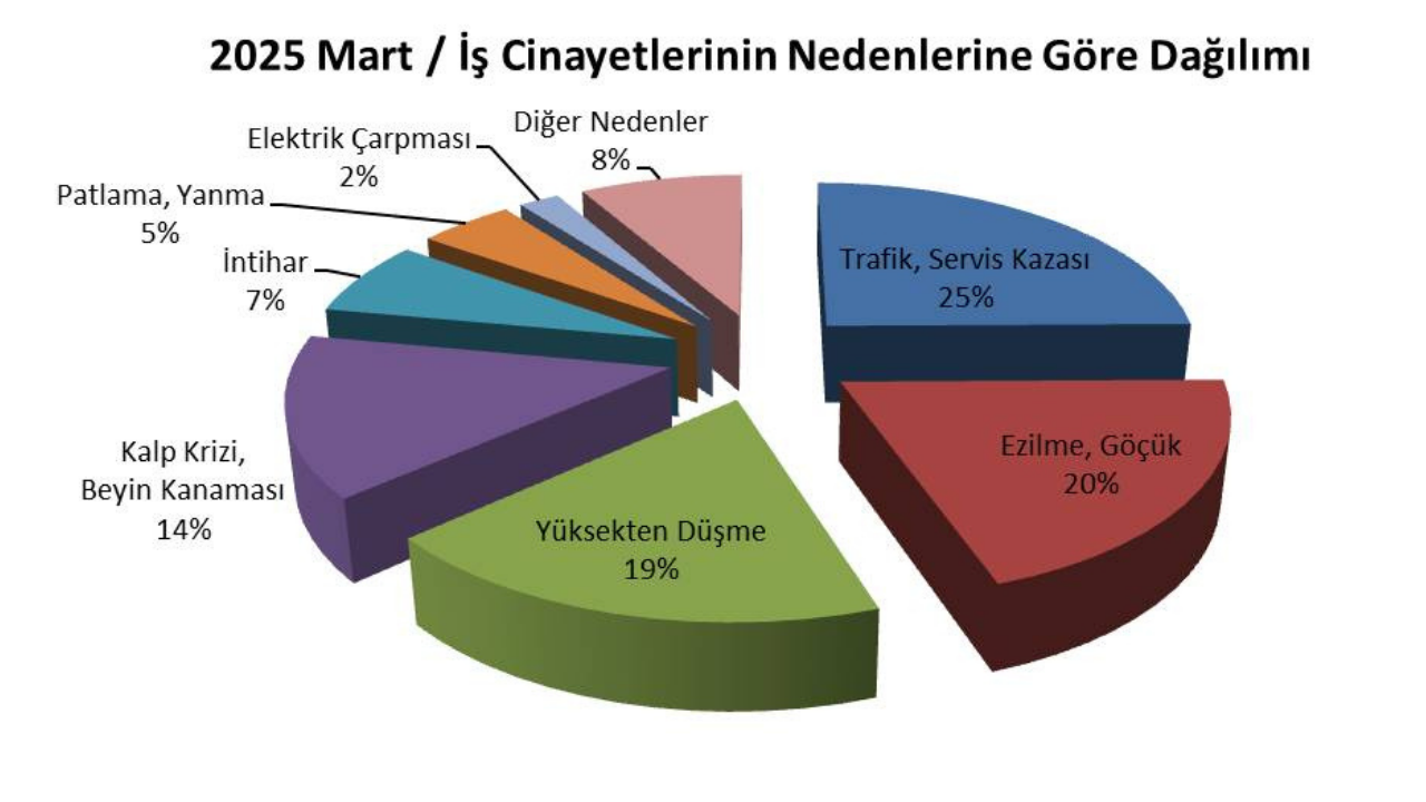 Iş Cinayet Raporuu