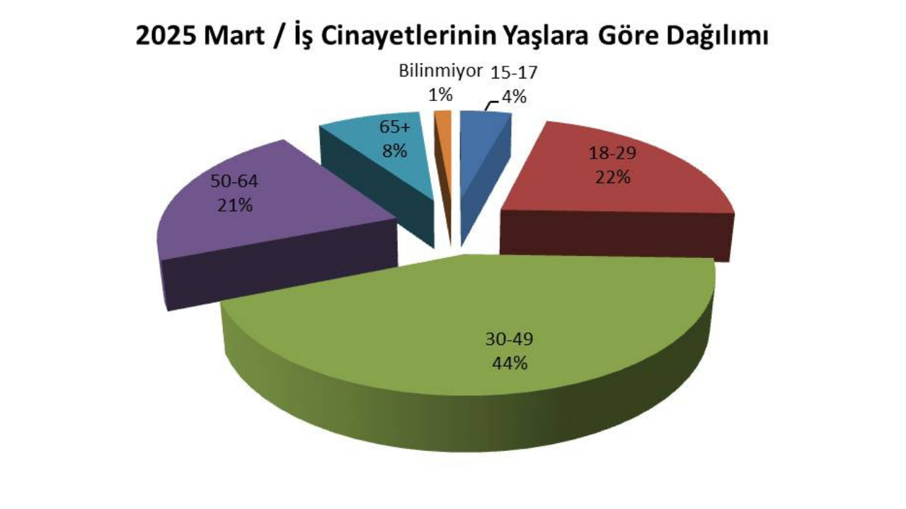Iş Cinayeti Raporu