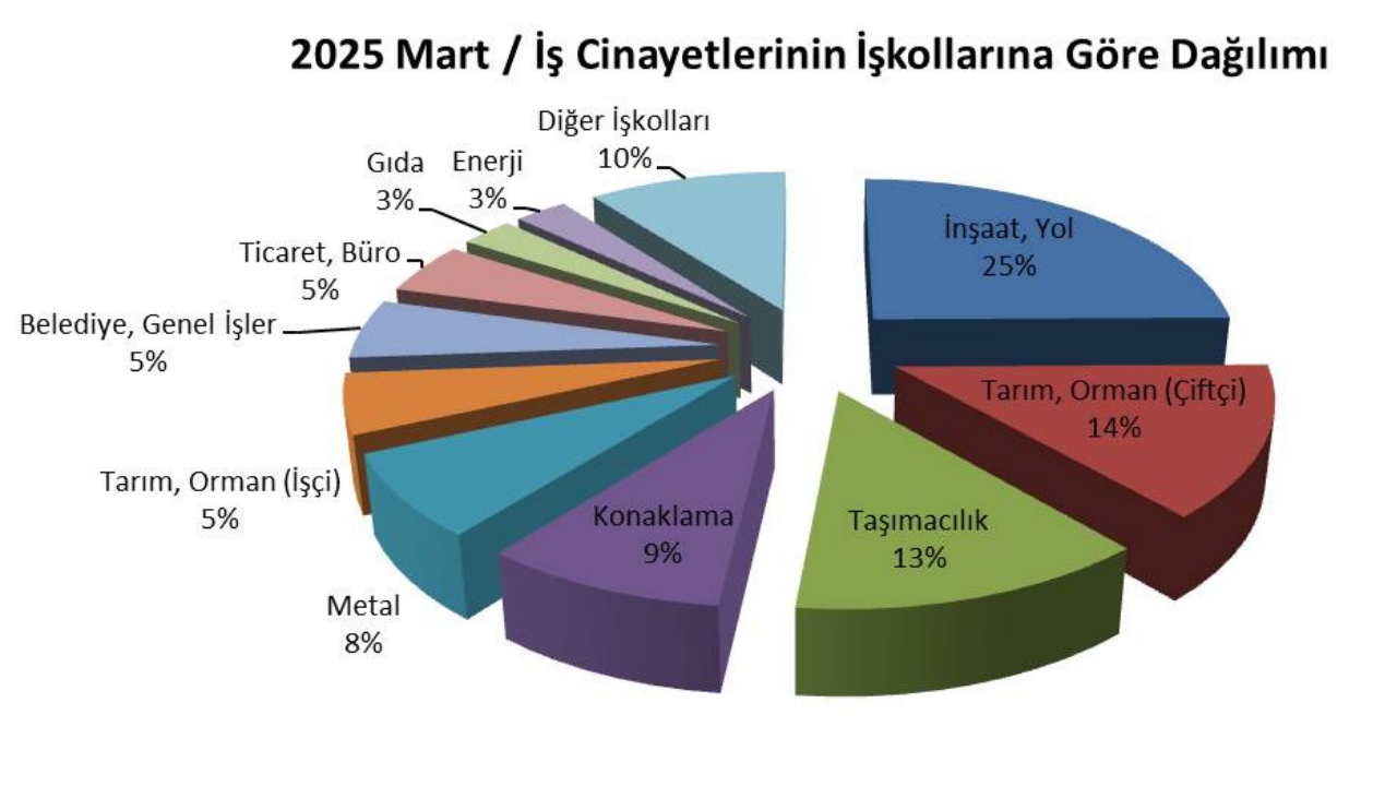 Iş Cinayeti Raporuu