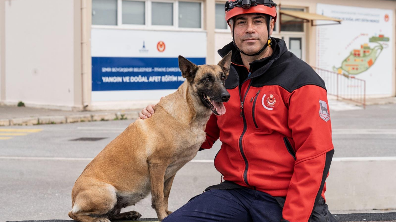 Itfaiye Köpekler (2)