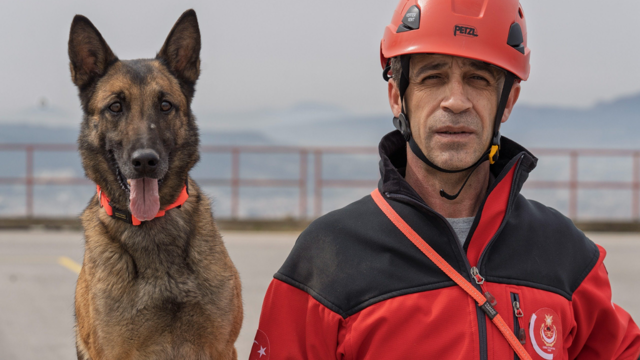 Itfaiye Köpekler (3)