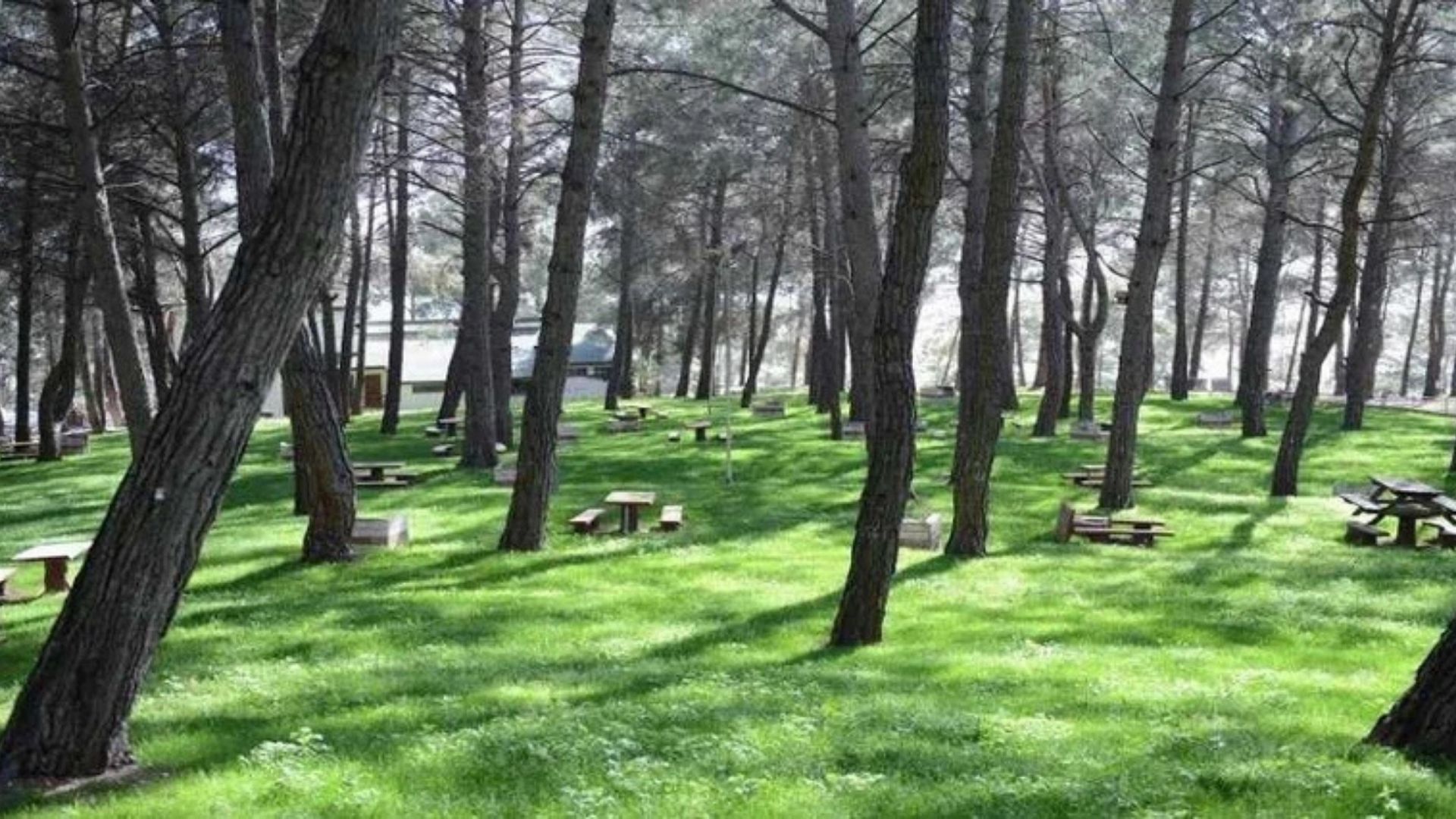 İzmir'de Doğayla Iç Içe Gün Piknik Alanlarına Yoğun Ilgi! (3)