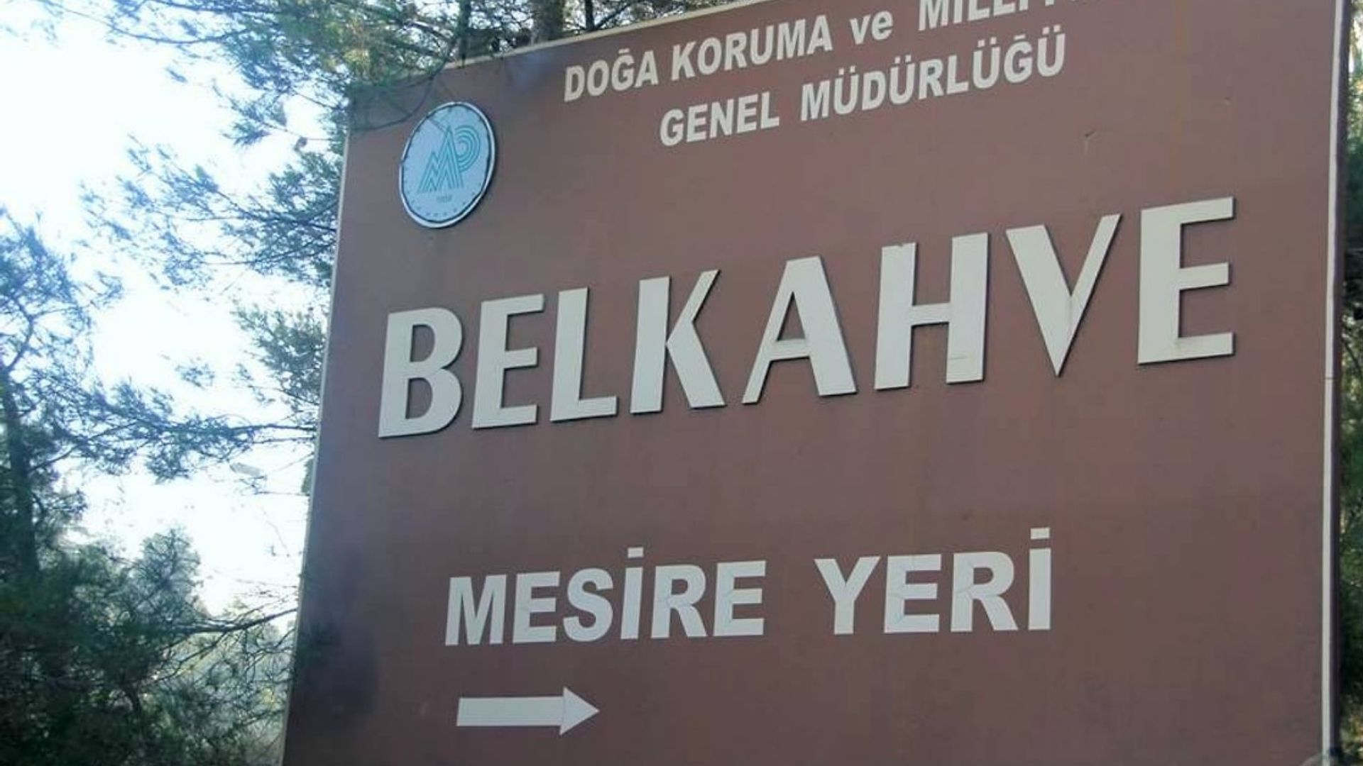 İzmir'de Doğayla Iç Içe Gün Piknik Alanlarına Yoğun Ilgi!