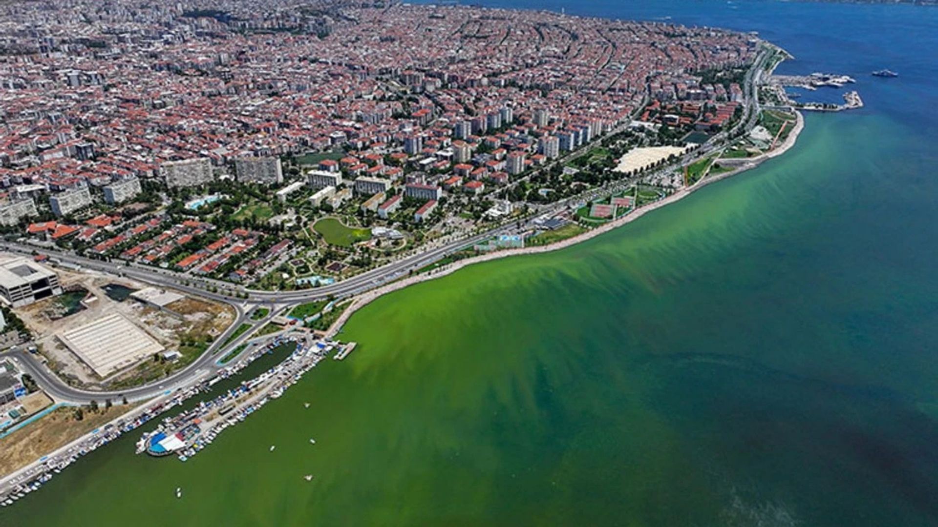 İzmirlilere Sorduk İzmir’e Yayılan Körfez Kokusunu Alıyor Musunuz (2)