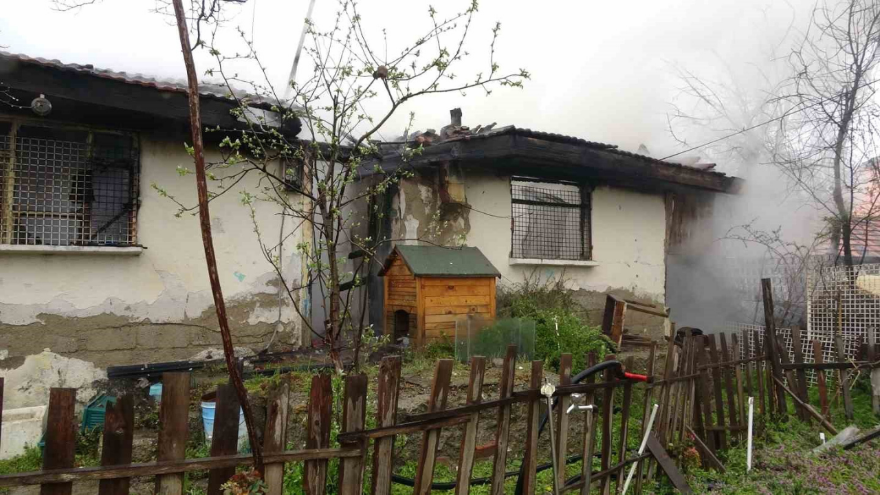 Kastamonu Yangın-3