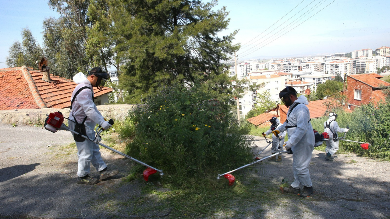 Kosa Çalışması2