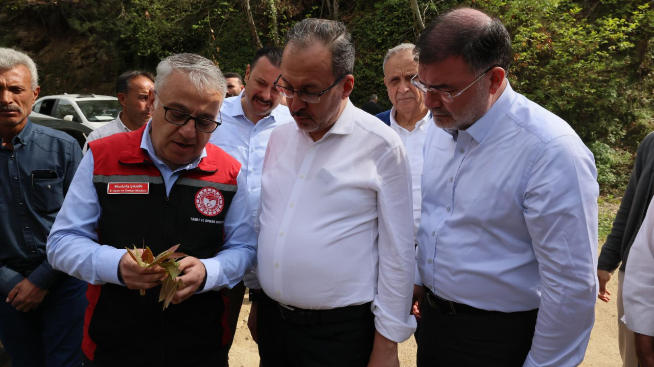 Mehmet Kasapoğlu1