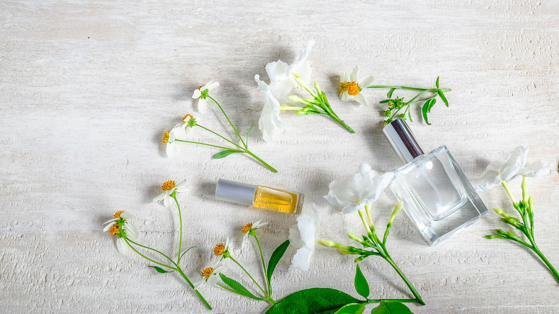 Yaz Ve Kış Mevsimlerinde Hangi Parfümler Tercih Edilmeli (2)