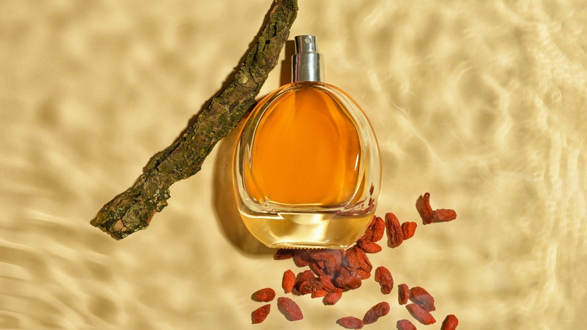 Yaz Ve Kış Mevsimlerinde Hangi Parfümler Tercih Edilmeli (5)