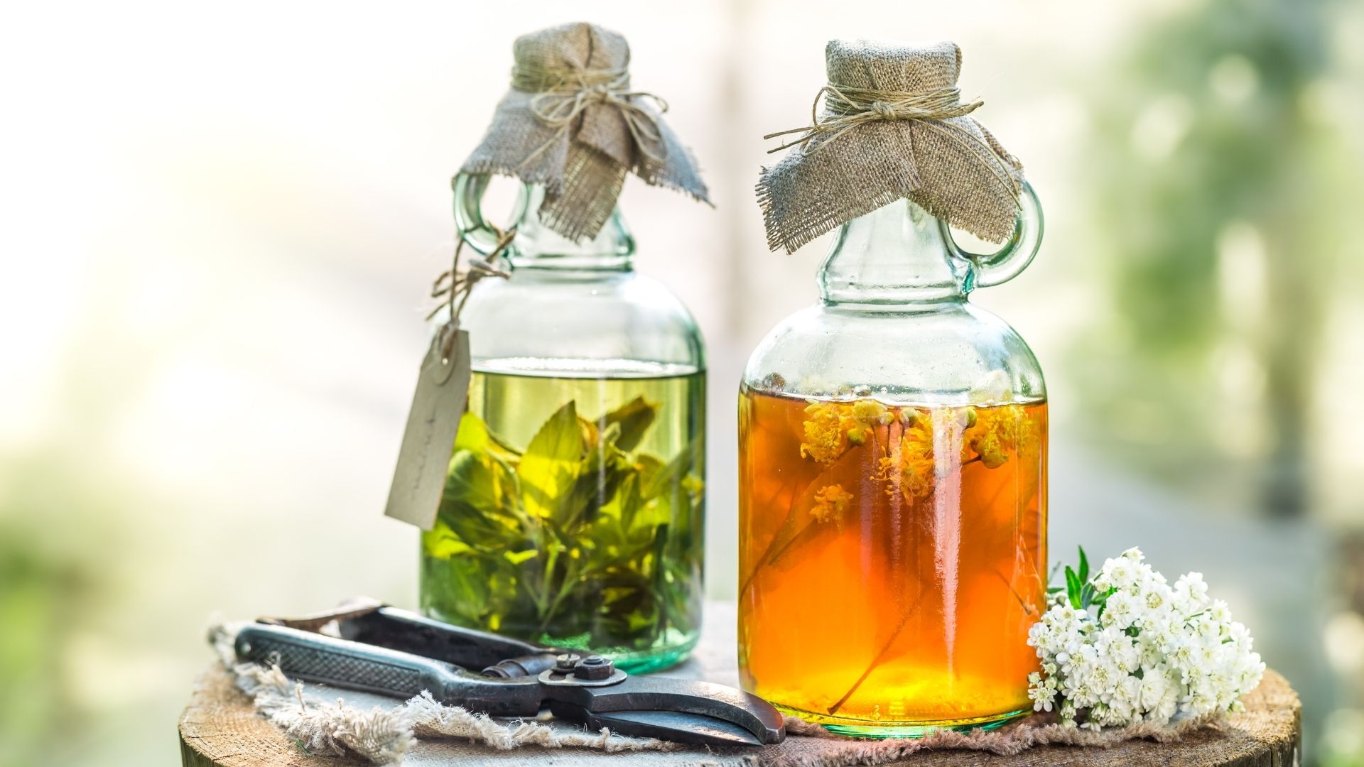 Bitkisel Kürlere Dikkat! Uzman Uyardı Doğal Olan Her Şey Güvenli Değildir3