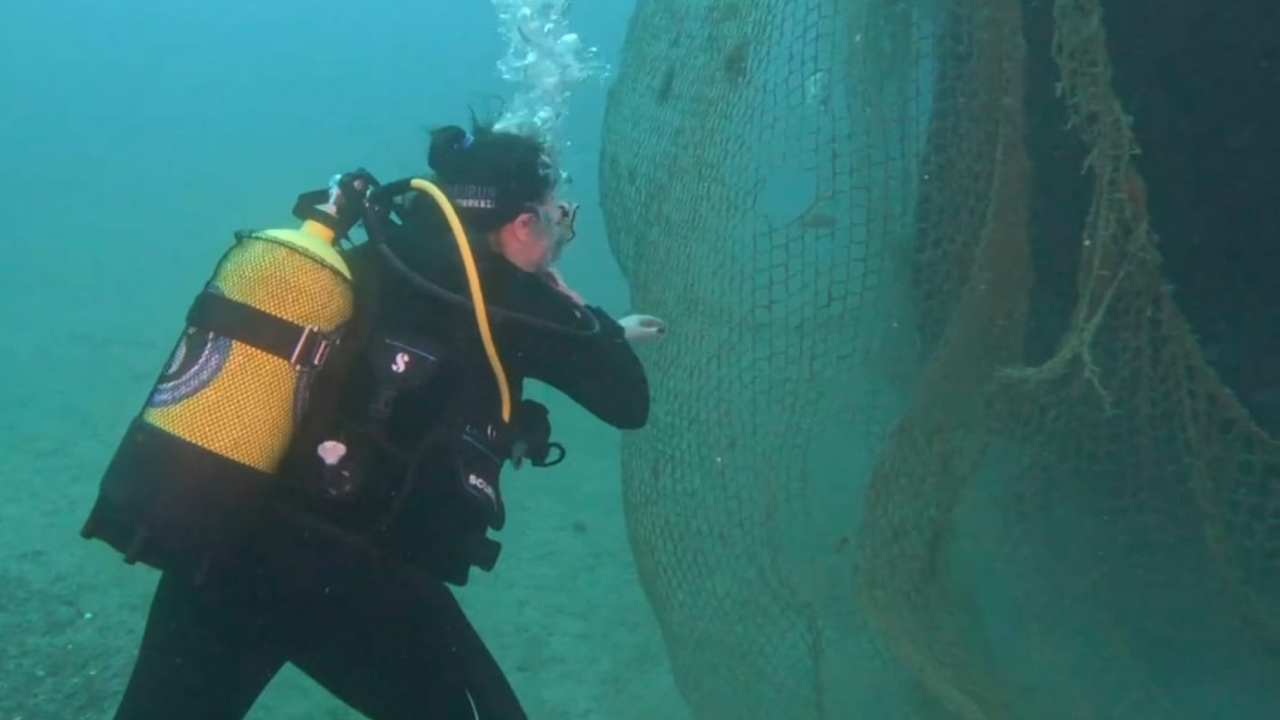 Hayalet Ağ Karaburun