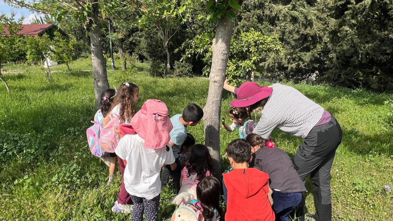 Izmir Çocuk Masal Doğa