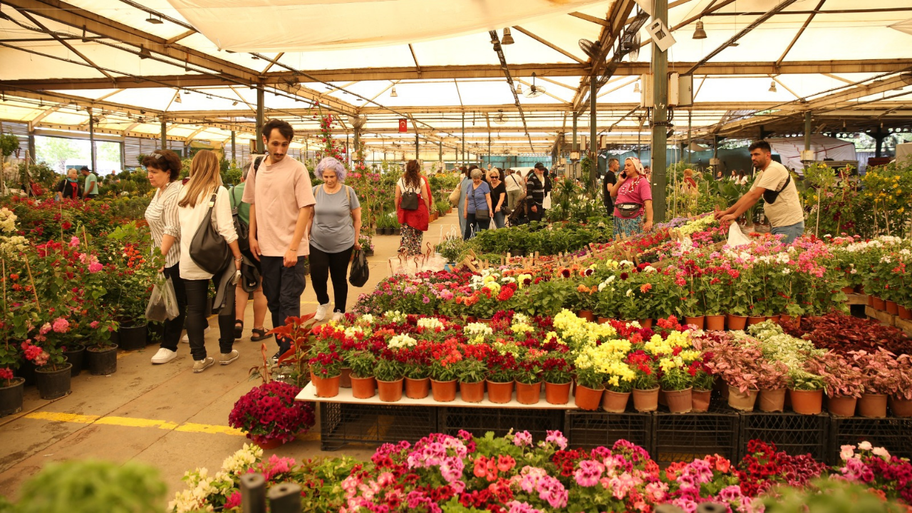 Izmirdesondakika (1)-119