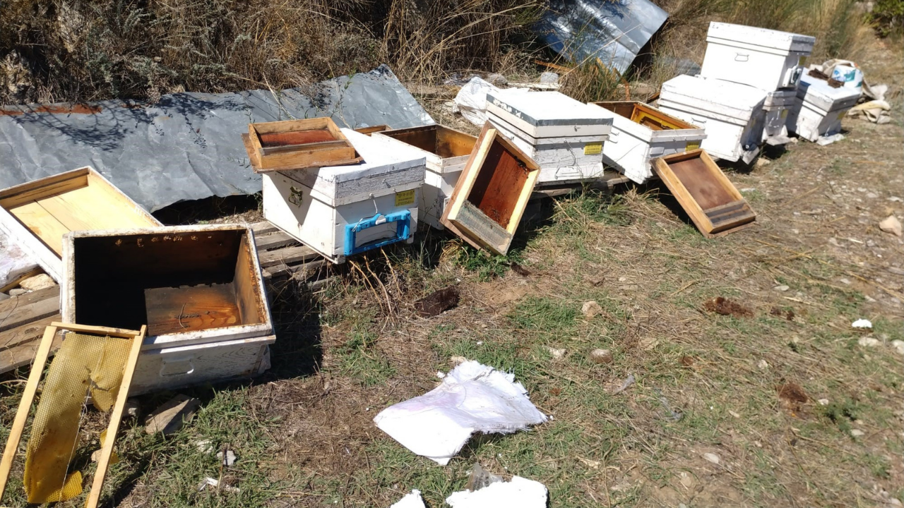 Izmirdesondakika (1)-76