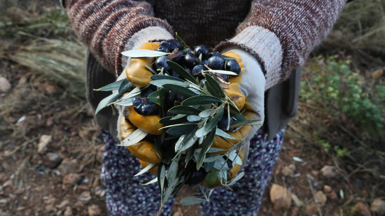 Izmirdesondakika (1)-85