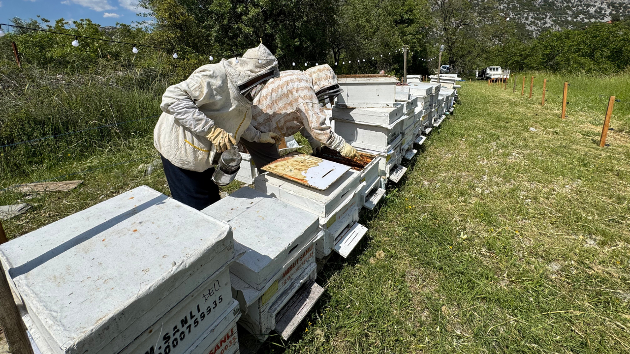 Izmirdesondakika (2)-53