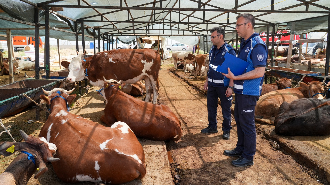 Izmirdesondakika-244