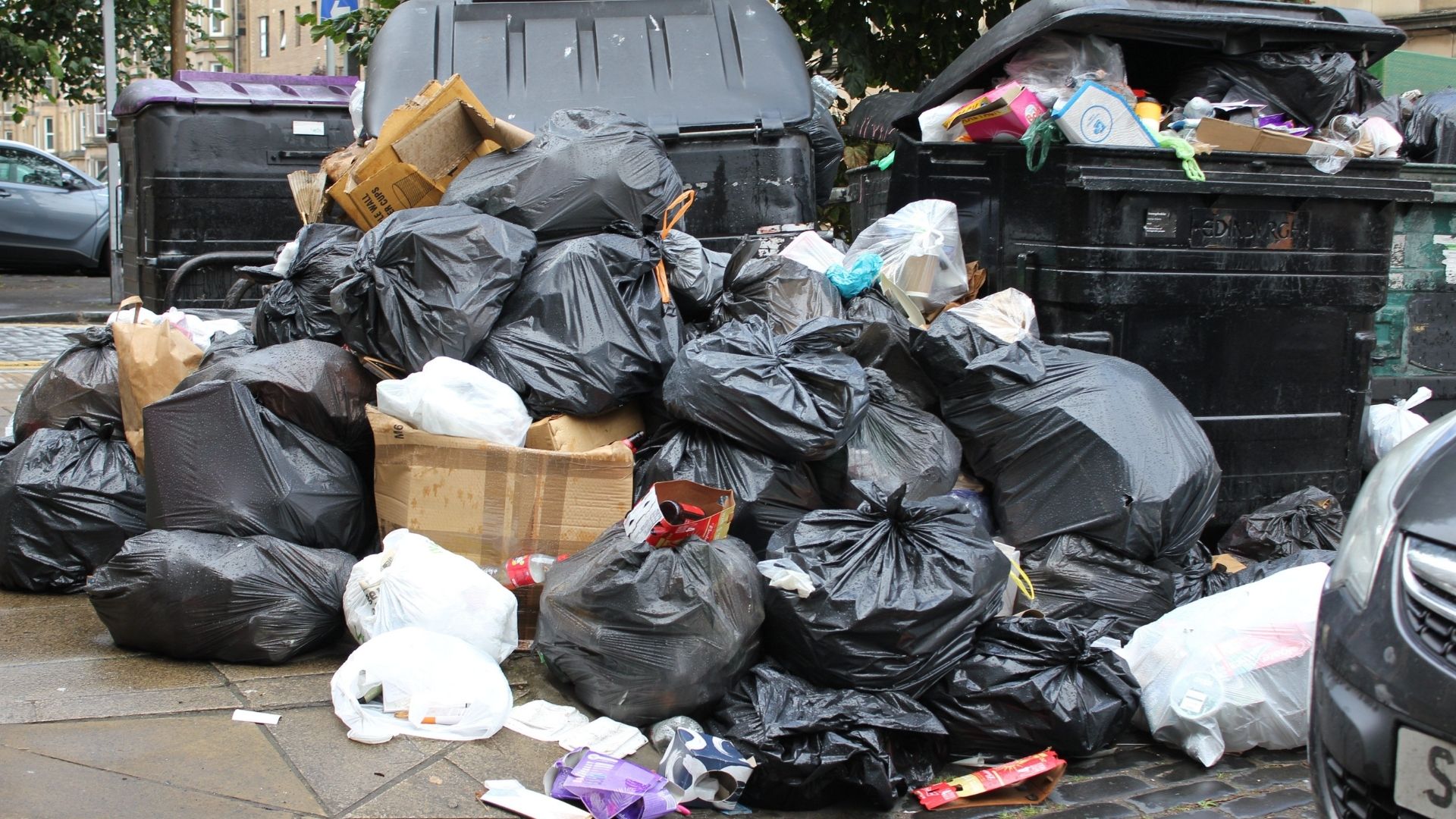 İzmirlilere Sorduk İzmir’de Çöp Krizi Şehir Kokuyor, Çöp Nerede (2)