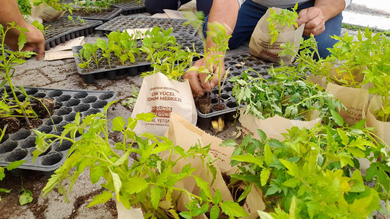 Seferihisar Belediyesi Tohum Takas Şenliği’ne Hazırlanıyor3