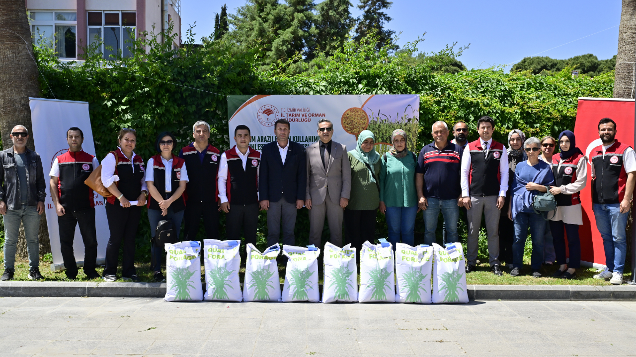 Susuz Tohum Dağıtımı