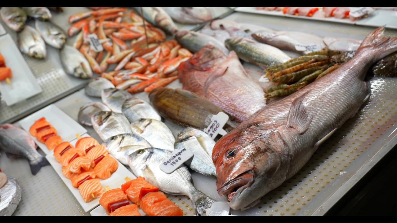 Balıkçı Geleneğinin Mirasçısı